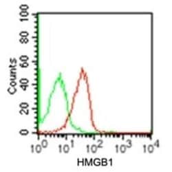 HMGB1/HMG-1 Antibody (19N15F4) - Azide and BSA Free, Novus Biologicals
